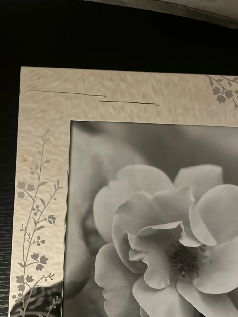 Silver Floral-Accent Picture Album - Martha Stewart